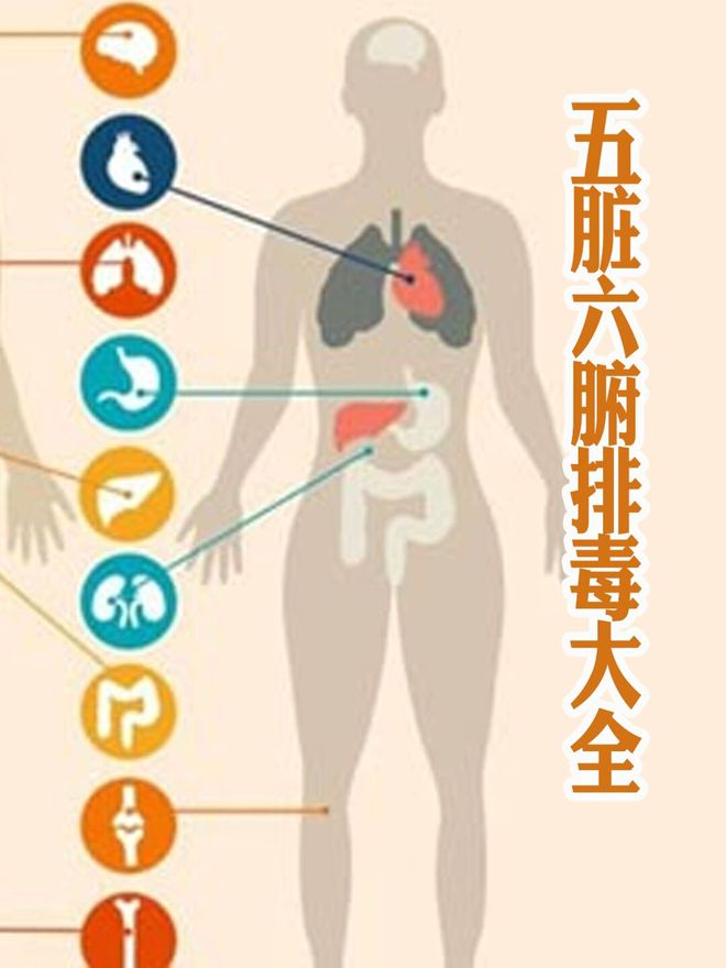 1岁去世的林海峰用生命提醒大家没事别瞎搞PG麻将胡了试玩平台了不起的养生大师！5(图5)