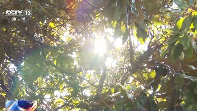虎” 立秋时节如何养生？专家建议PG麻将胡了2试玩秋燥秋乏“秋老(图4)